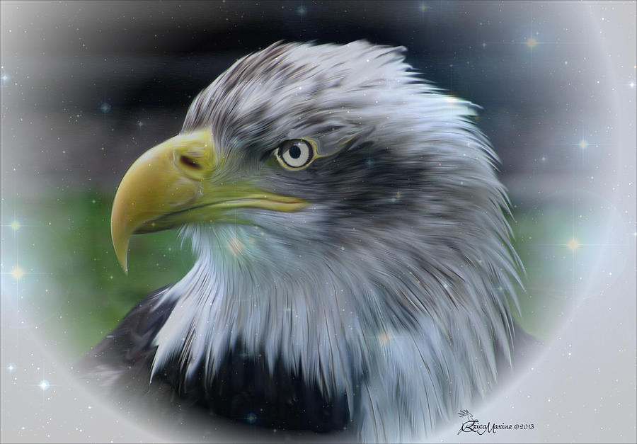 Majestic Eagle of the USA - Featured in Feathers and Beaks-Comfortable ...