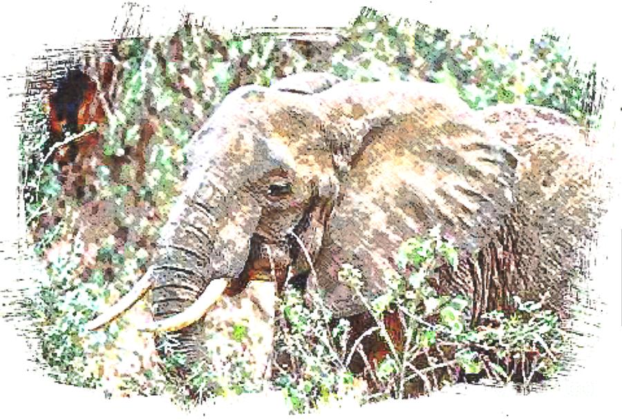 Majestic Elephant Digital Art by Steven  Pipella