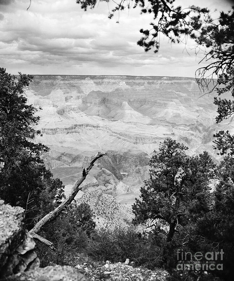 Majestic Grand Canyon from the Rim in Black and White Photograph by M K Miller