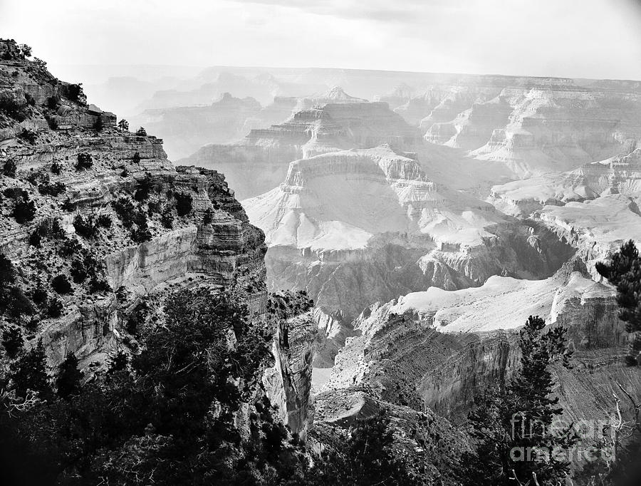 Majestic Grand Canyon in Black and White from the rim Photograph by M K Miller