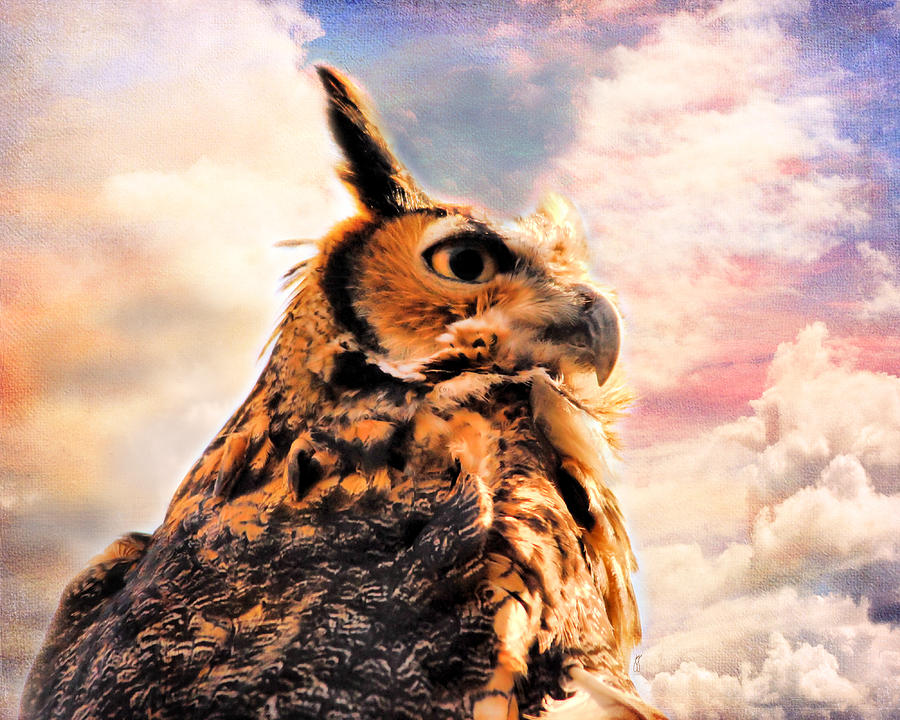 Majestic Great Horned Owl Photograph by Jai Johnson