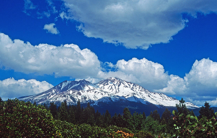 Mountain Photograph - Majestic Mount Shasta by Kathy Yates
