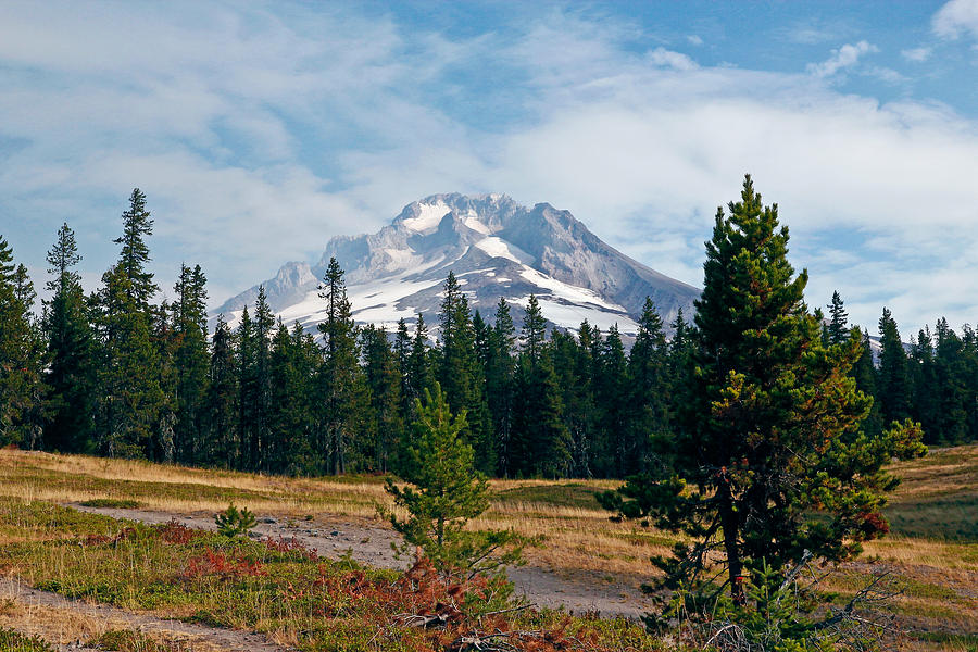 Majestic Mt. Hood In Oregon Photograph by Athena Mckinzie