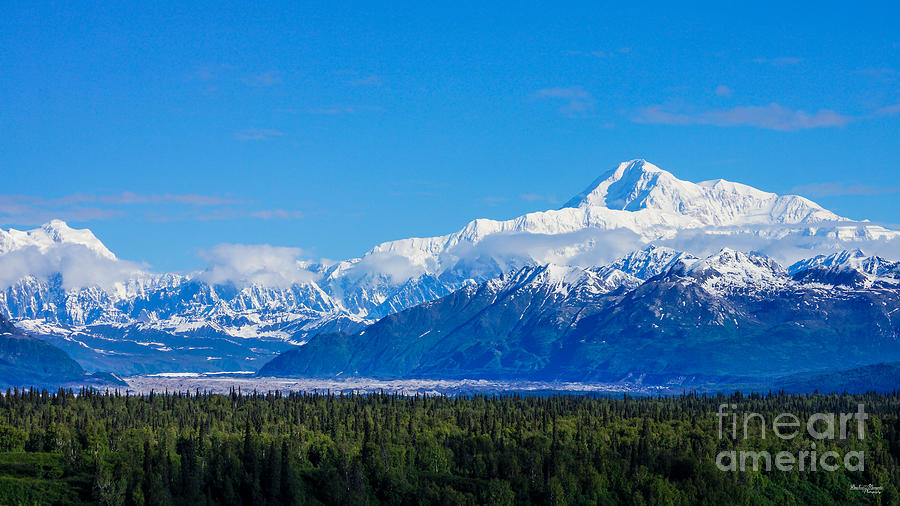 Majestic Mt McKinley Photograph by Jennifer White