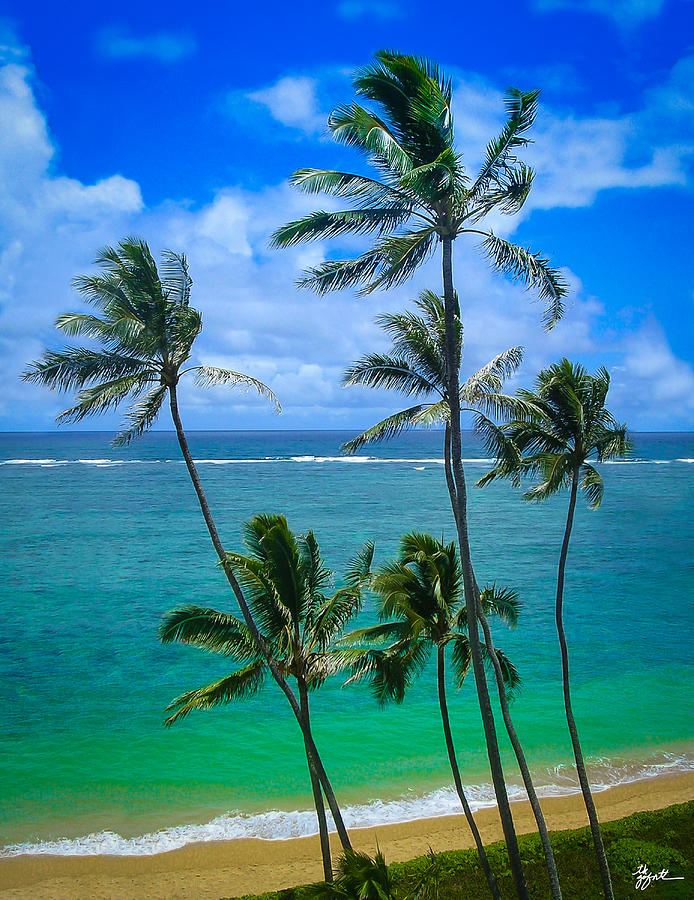Majestic Palm Trees Photograph by TK Goforth