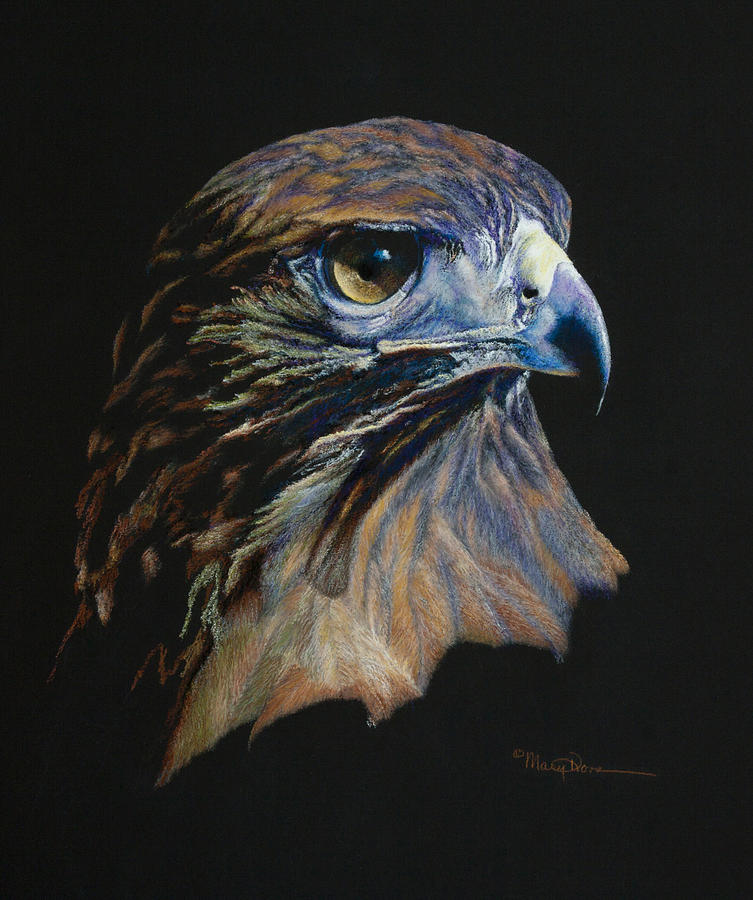 Majestic Raptor Red-tail Hawk Painting by Mary Dove