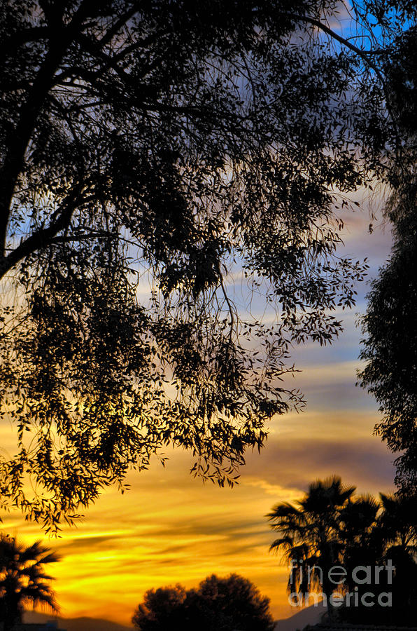 Majestic Sunset Photograph by Deb Halloran
