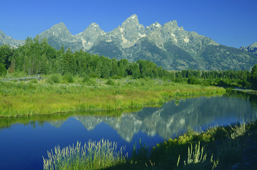 Majestic Tetons I Photograph by Craig Ratcliffe - Fine Art America