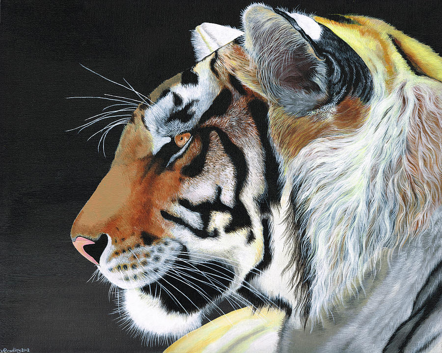 Wildlife Painting - Majestic Tiger by Heather Bradley