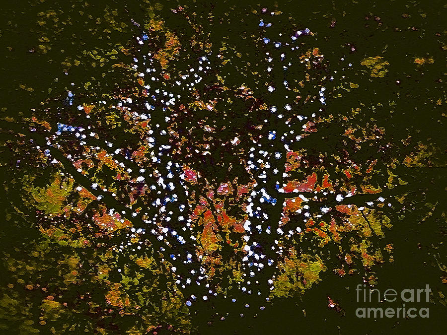 Abstract Photograph - Majestic Tree Art by Miss Dawn