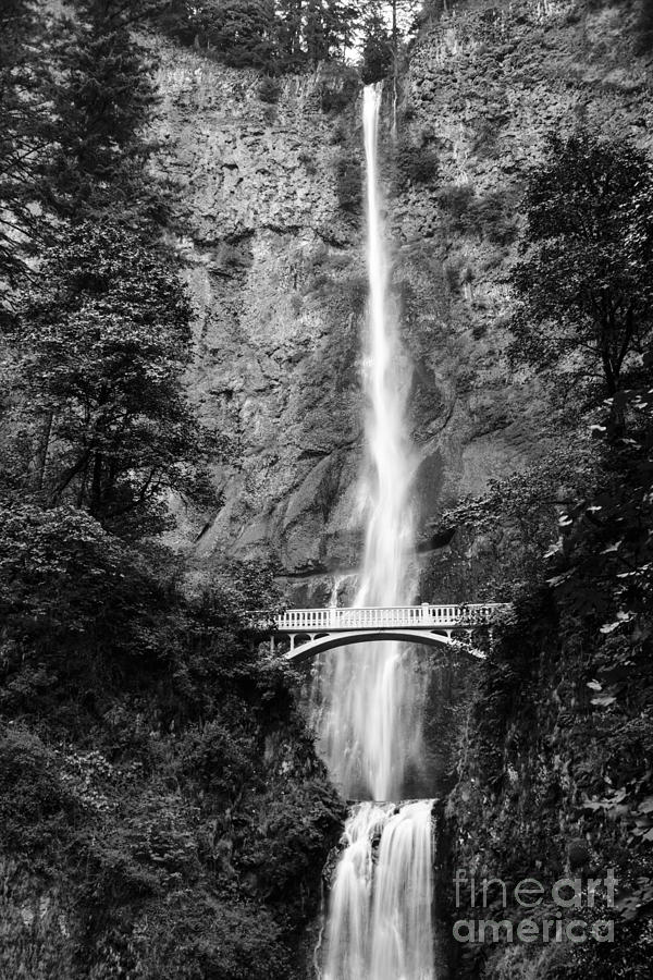 Majestic Waterfall Photograph by Oscar Gutierrez