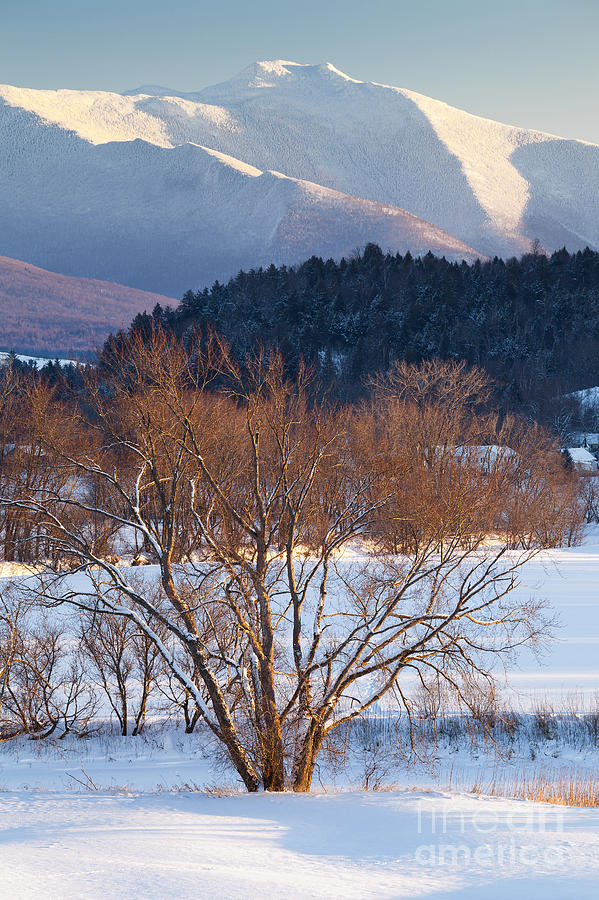 Majestic Winter Photograph by Alan L Graham