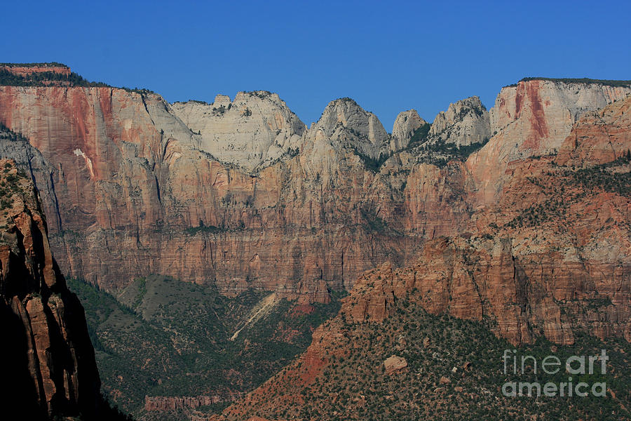 Majestic Zion Photograph by Marty Fancy