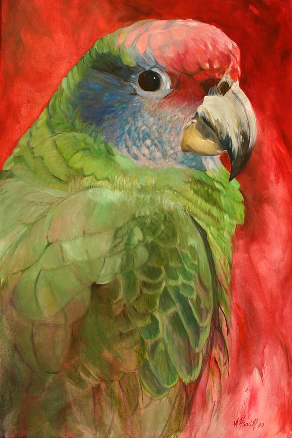 Parrot Painting - Majestoso by Kitty Harvill