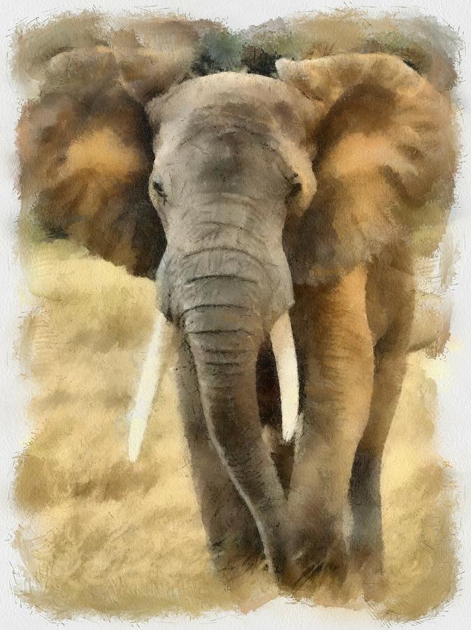 Elephant Digital Art - Majesty by Carol Sullivan