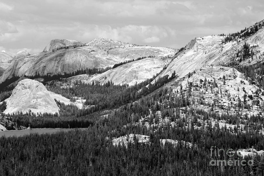Majesty Mountains Black and White Photograph by Mary Lou Chmura