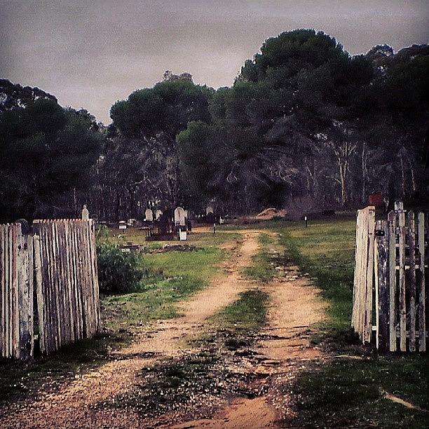 Instagram Photograph - Majorca Cemetery by Jo Kirby