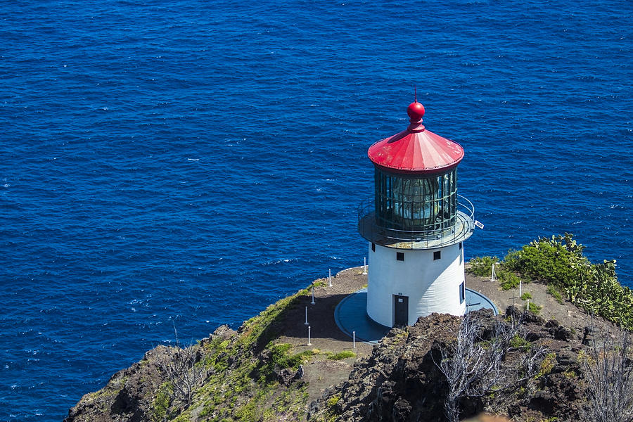 Makapuu Lighthouse 3 Photograph by Leigh Anne Meeks