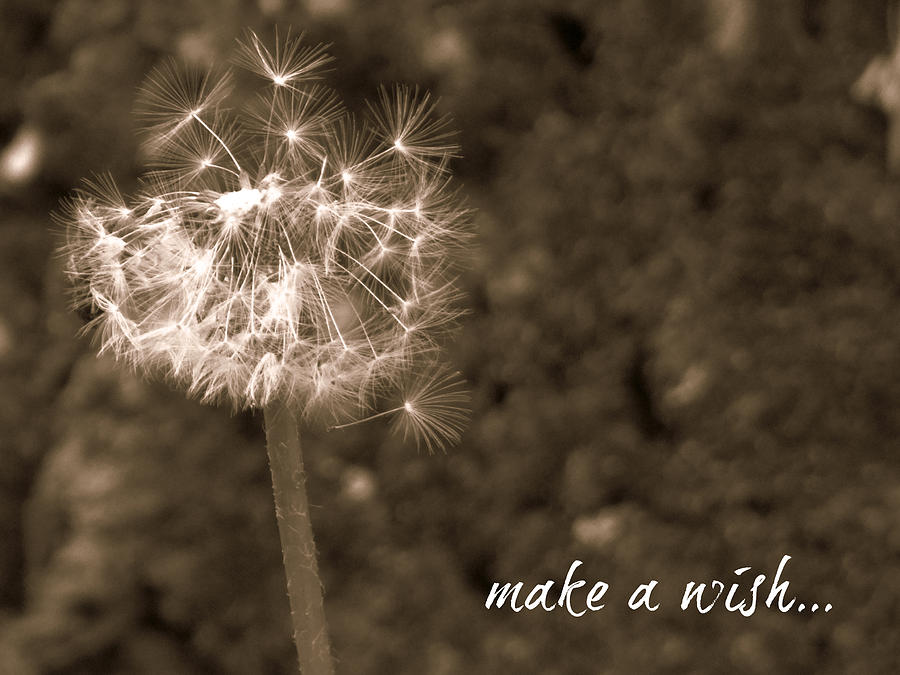 Make a Wish Card Photograph by Dark Whimsy