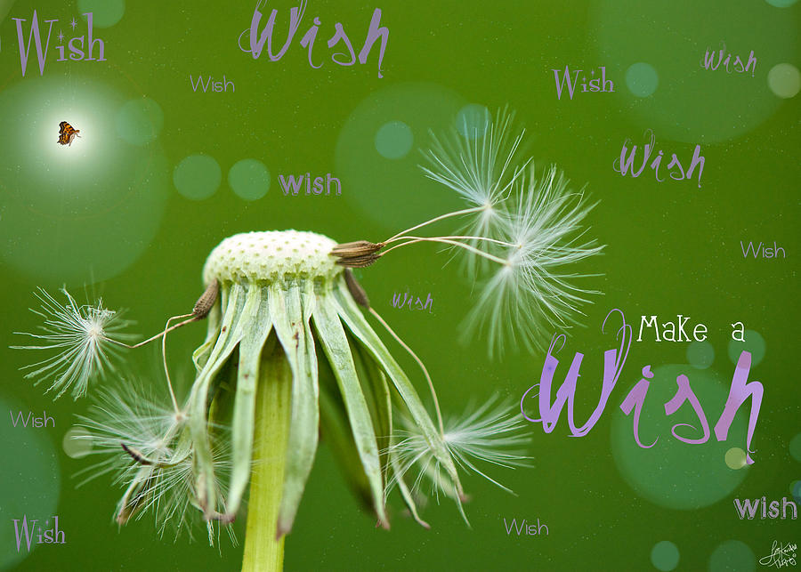 Make a wish. Открытка 