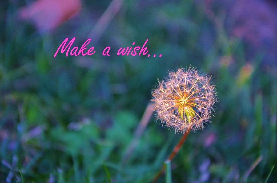 Make a Wish Photograph by Marilyn MacCrakin