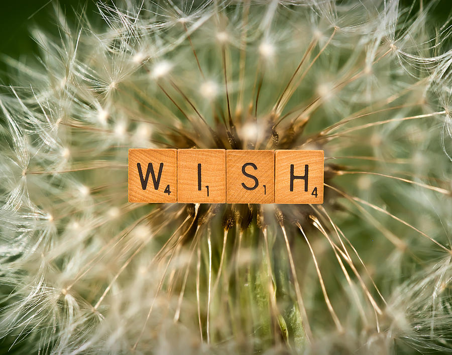 Make A Wish Photograph by Onyonet Photo studios