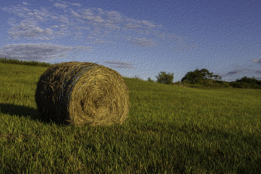 Make Hay Photograph by Sara Hudock