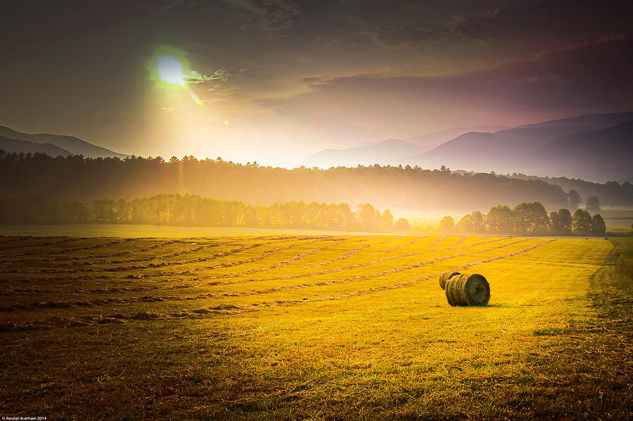 Make Hay while the Sunshines Photograph by Randall Branham