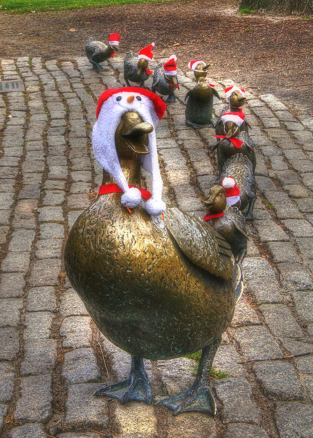 Make Way for Ducklings Holiday Card Photograph by Joann Vitali