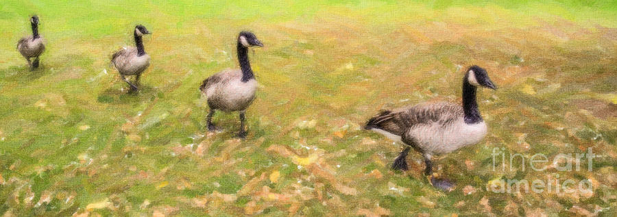 Make way for Geese Digital Art by Liz Leyden