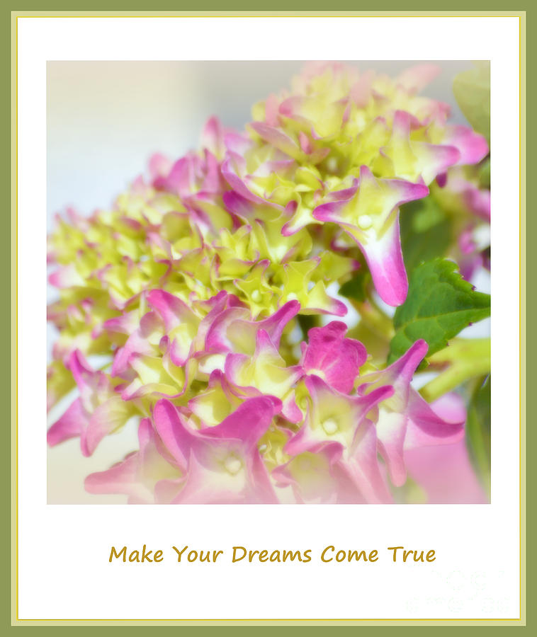 Flower Photograph - Make your dreams come true by Susanne Van Hulst
