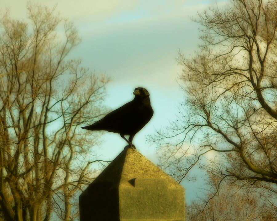 Crow Photograph - The Very Top Of A Obelisk  by Gothicrow Images
