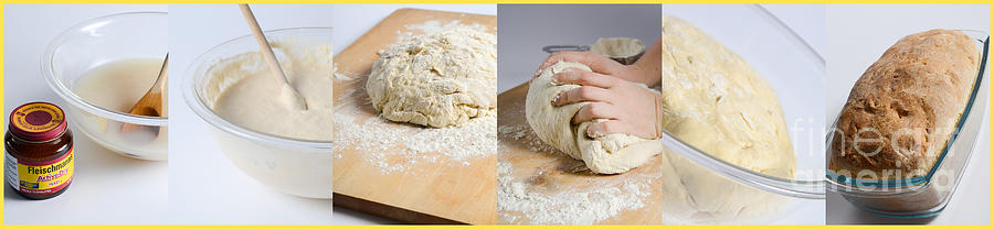 Making Bread Photograph by Science Source