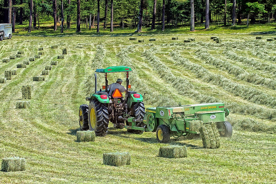 Making Hay Photograph by Constantine Gregory