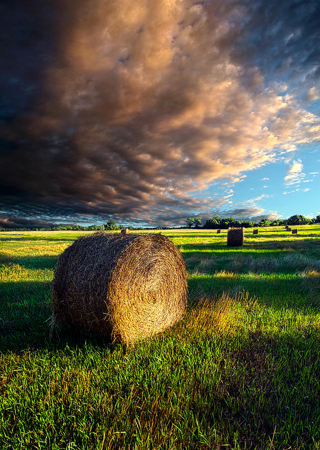 Landscape Photograph - Making Hay by Phil Koch