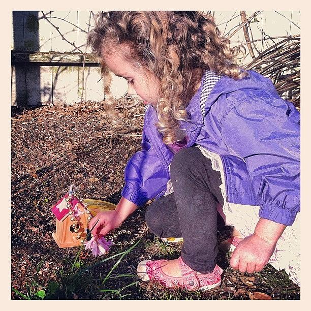Making Homes For Fairies Photograph by Joy Rubey