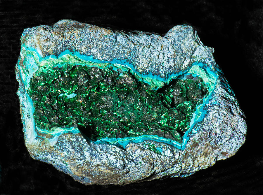Malachite And Chrysosolla Photograph by Millard H. Sharp