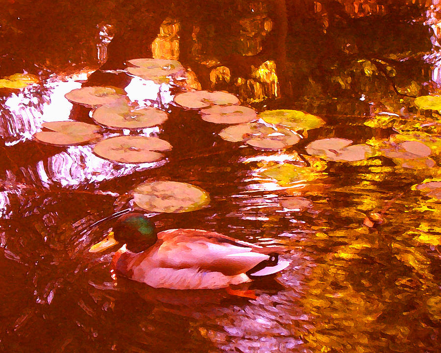 Malard Duck On Pond 3 Painting