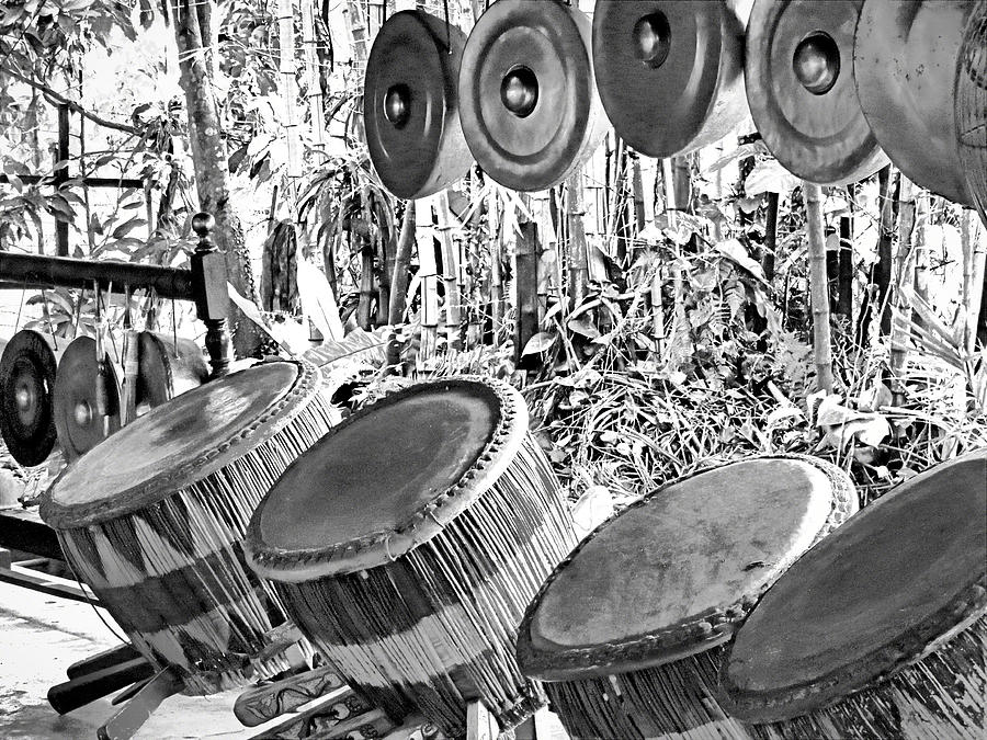 Malaysian Percussion Photograph by Robert Meyers-Lussier