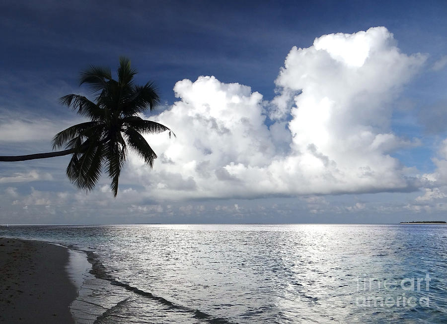 Paradise Photograph - Maldives 01 by Giorgio Darrigo