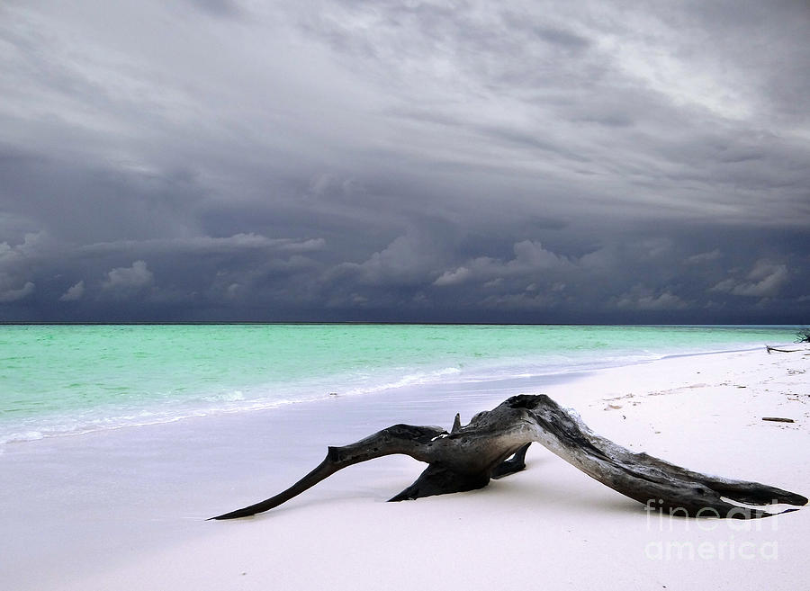 Paradise Photograph - Maldives 02 by Giorgio Darrigo