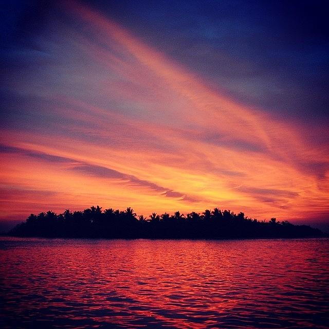 Fish Photograph - #maldives #sunset #maldives #tropical by Mike Fletcher