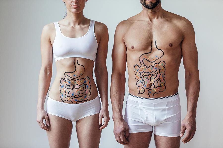 Male and Female Intestinal Health Concept Photograph by SolStock