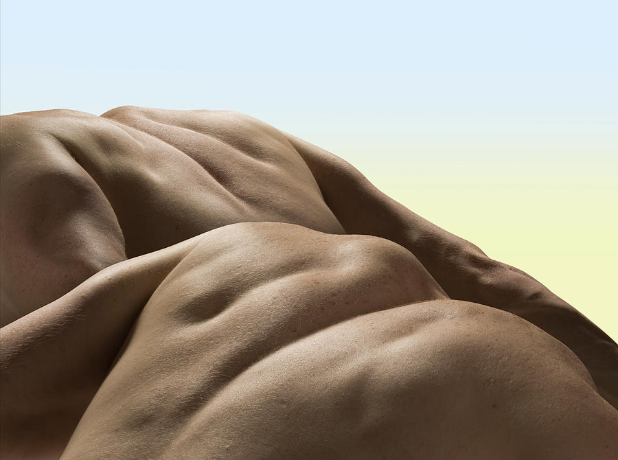 Male Backs, Close Up Photograph by Jonathan Knowles