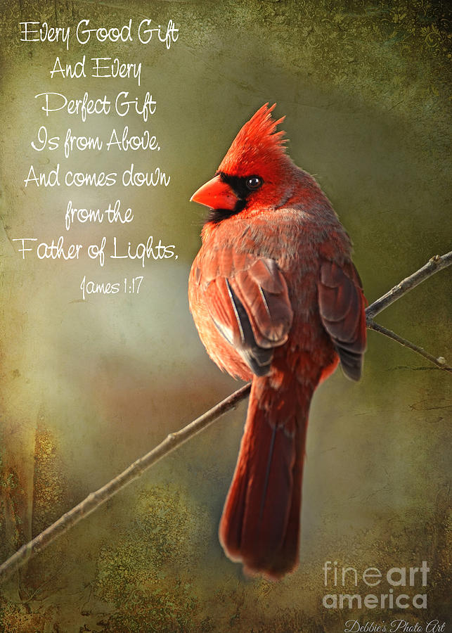 Male Cardinal in the Morning sun with verse Photograph by Debbie Portwood
