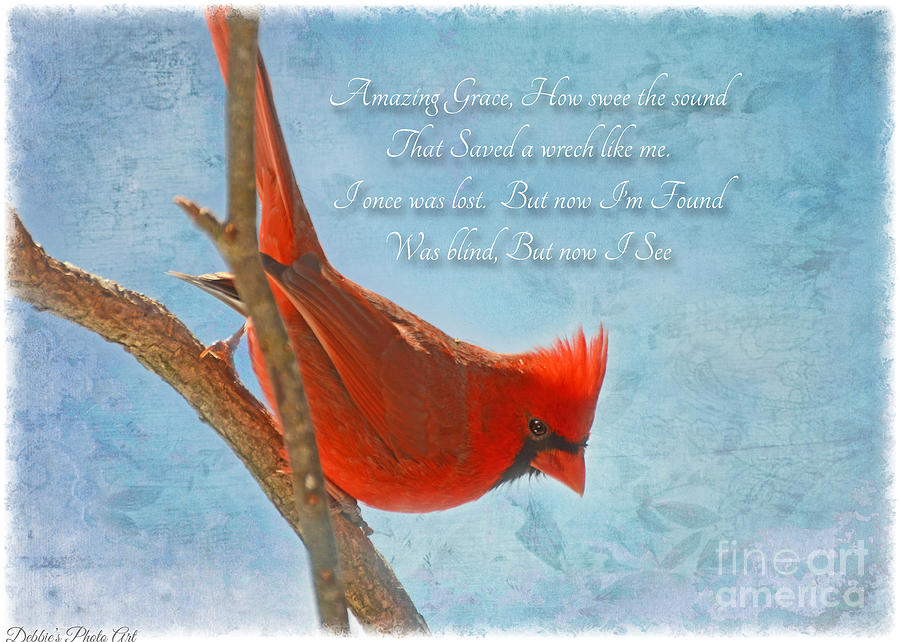 Male Cardinal poses with Verse I  Photograph by Debbie Portwood
