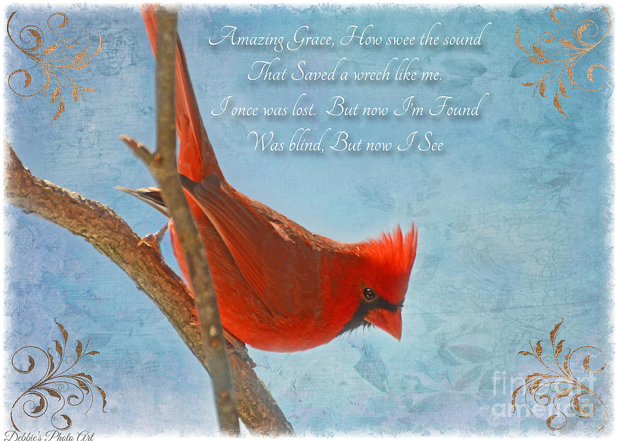 Male Cardinal poses with Verse II  Photograph by Debbie Portwood