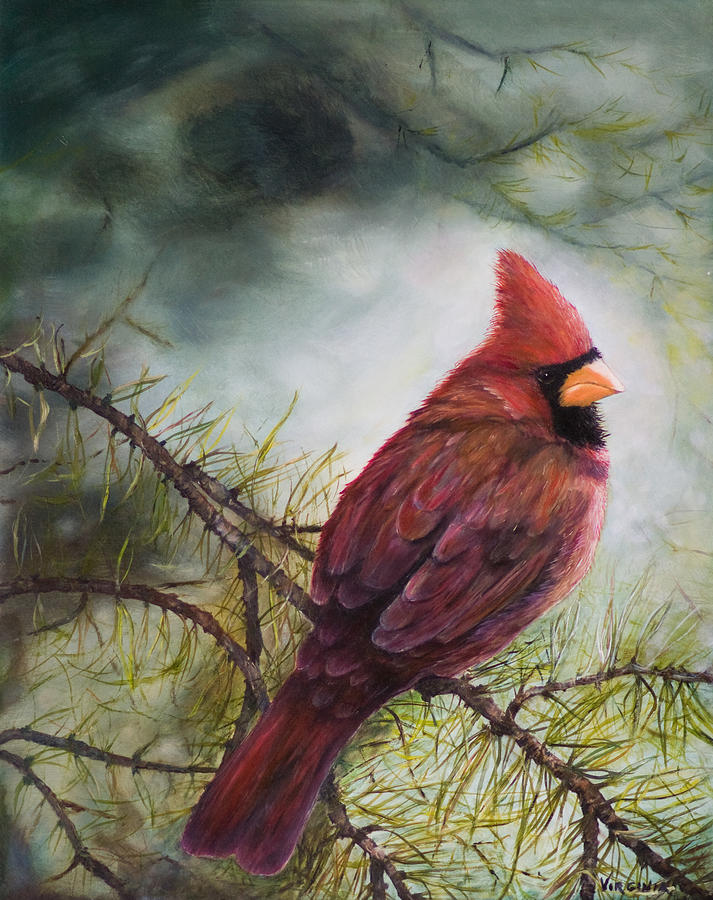 Cardinal Painting - Male Cardinal by Virginia Butler