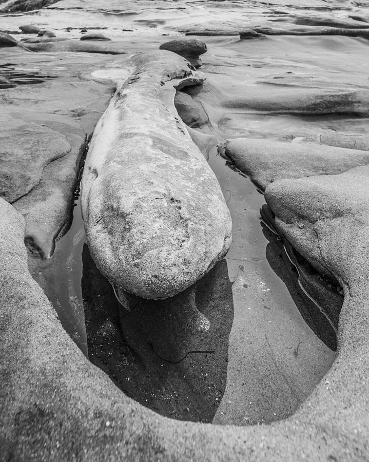Beach Photograph - Male Erosion Dysfunction Black and White by Scott Campbell