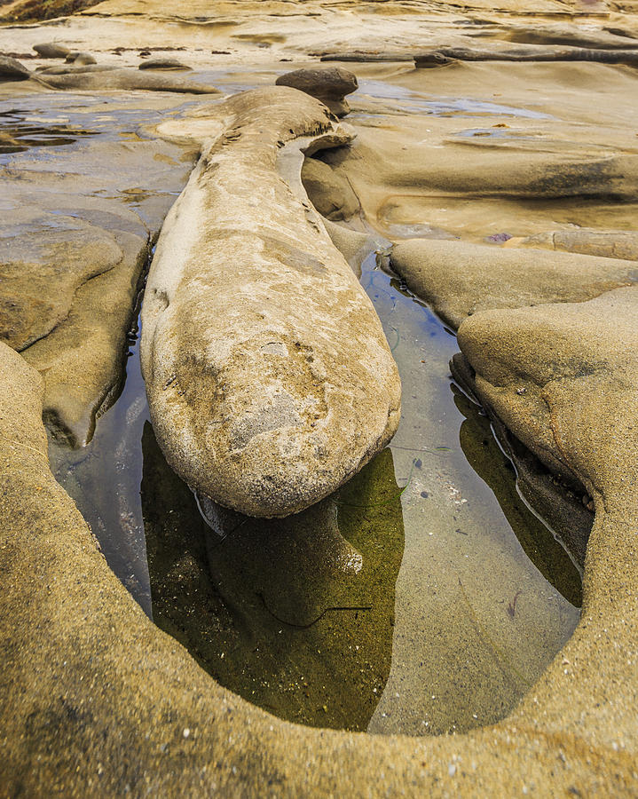 Male Erosion Dysfunction Photograph by Scott Campbell
